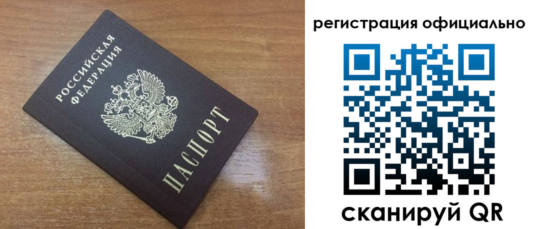 прописка 2025 в Светлогорске